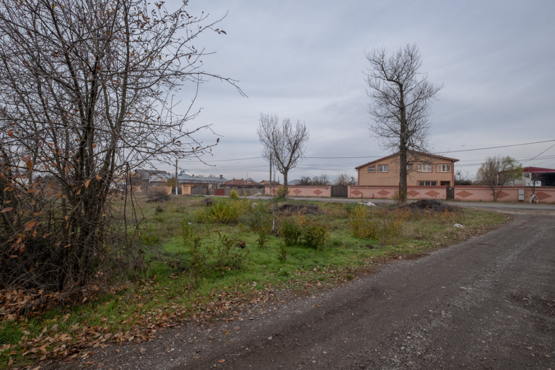 ADUNATII COPACENI - MOGOSESTI, TEREN INTRAVILAN CONSTRUCTII, 1000 MP!
