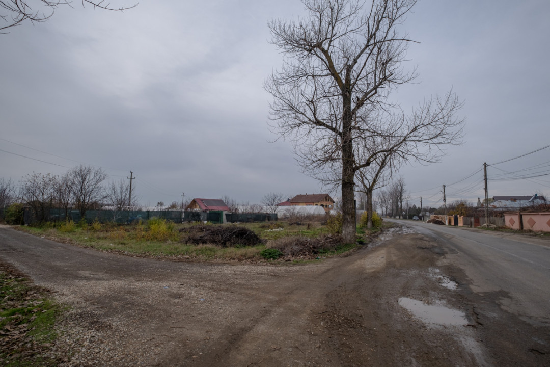 ADUNATII COPACENI - MOGOSESTI, TEREN INTRAVILAN CONSTRUCTII, 1000 MP!